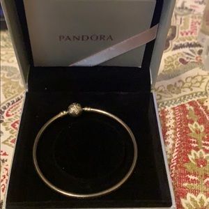 pandora limited edition bracelet with two charms